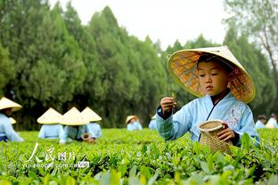 硬黑啊？船记谈詹姆斯被八村误伤：对队友也假摔属实离谱！